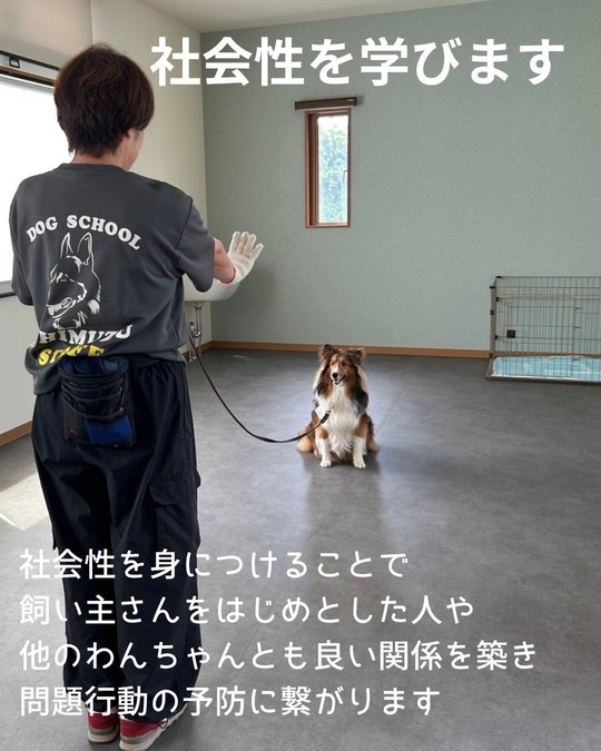犬の幼稚園 - 清水警察犬・家庭犬訓練所（群馬県伊勢崎市）